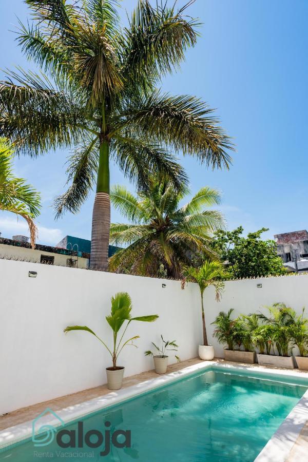 Vica Guest House Con Piscina En La Entrada De La Zona Hotelera Канкун Екстер'єр фото